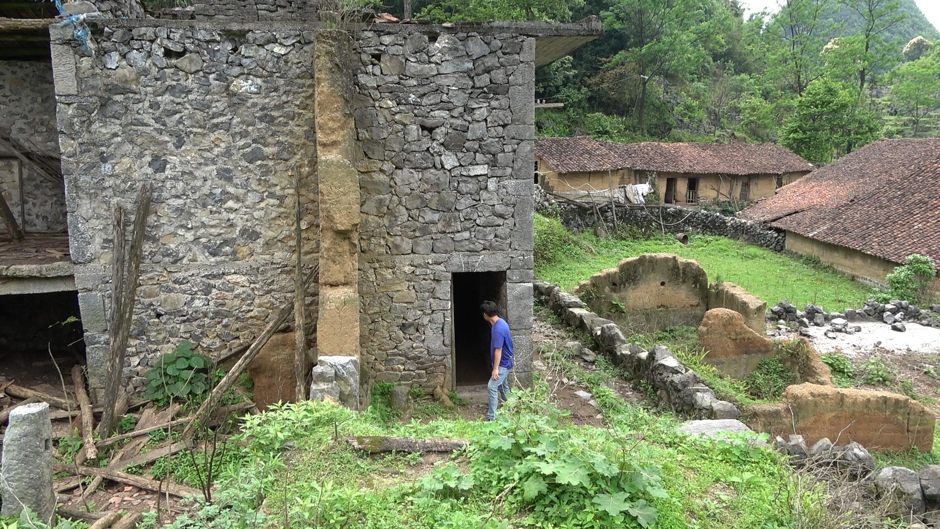 广西山顶上发现一无人村,百亩田地变荒废,什么原因让村民离开了