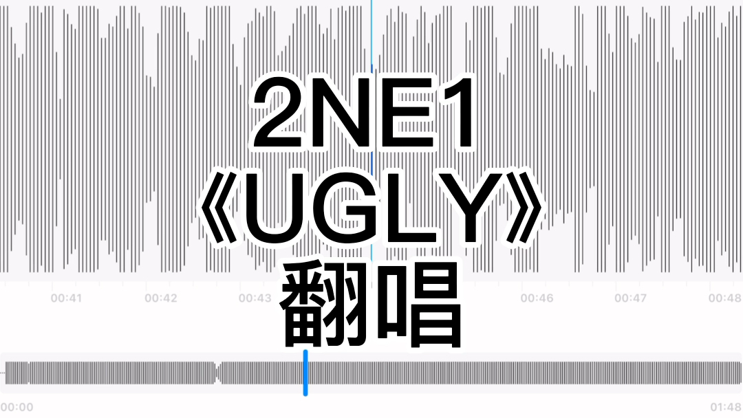 [图]【2NE1】《UGLY》翻唱