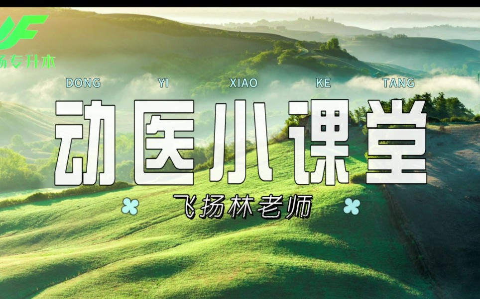 时间治愈的是,愿自渡之人.#动物医学 #辽宁医药职业学院本溪 #辽宁专升本哔哩哔哩bilibili