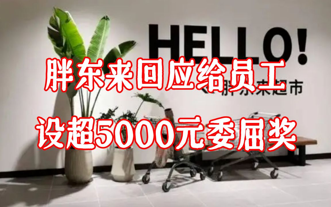 胖东来回应给员工设超5000元委屈奖:属实,还有30天带薪年假哔哩哔哩bilibili