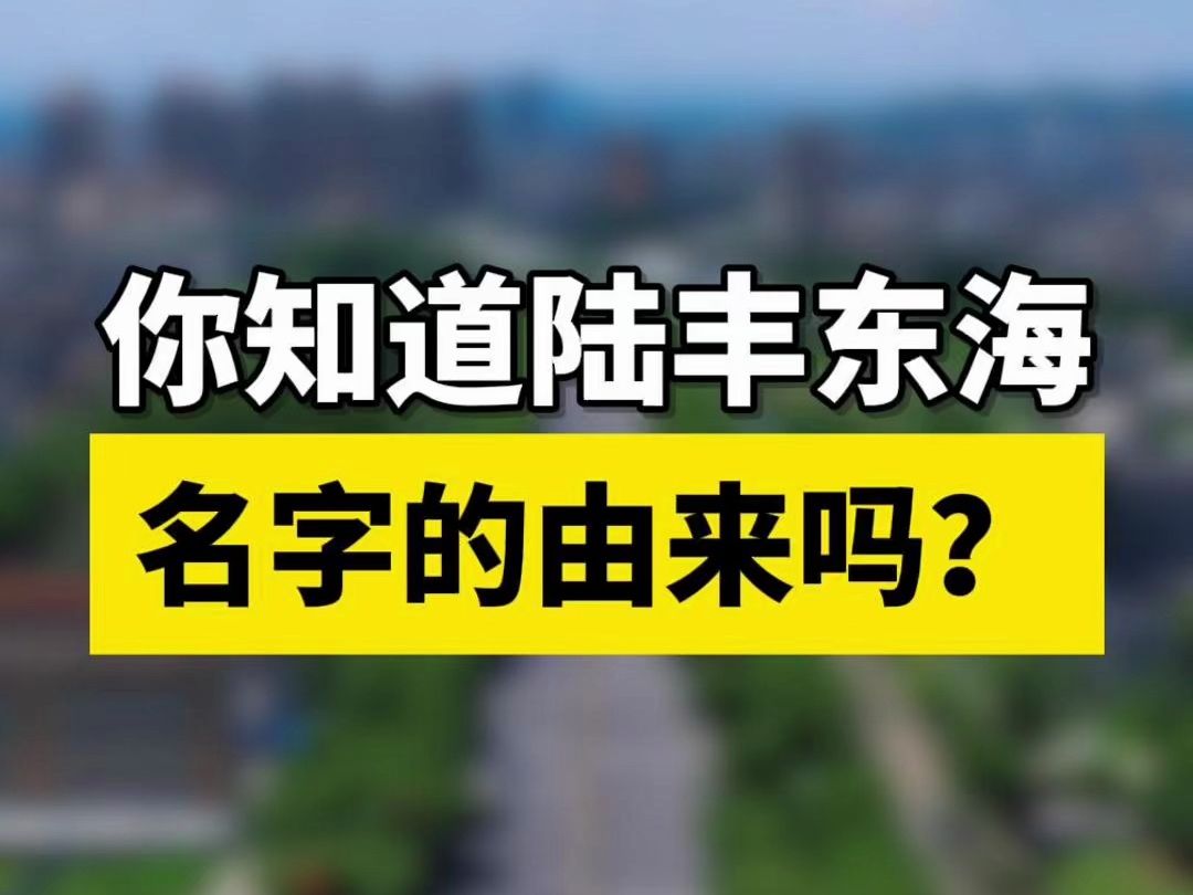 你知道陆丰东海名字的由来吗?哔哩哔哩bilibili