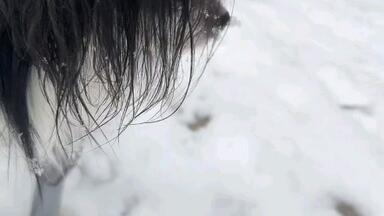 倉木麻衣「Mai Kuraki 5th Anniversary Edition Grow, Step by Step
