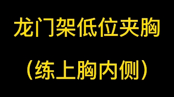 陶老師講課錄屏:龍門架低夾胸(練上胸內側)