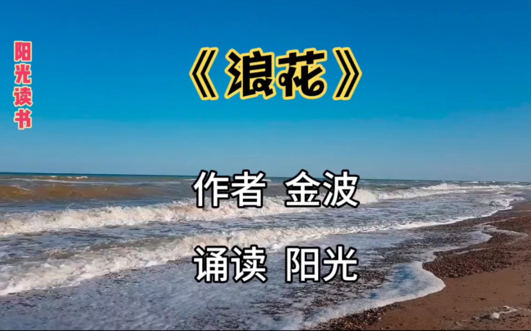散文诗《浪花》作者 金波 诵读 阳光散