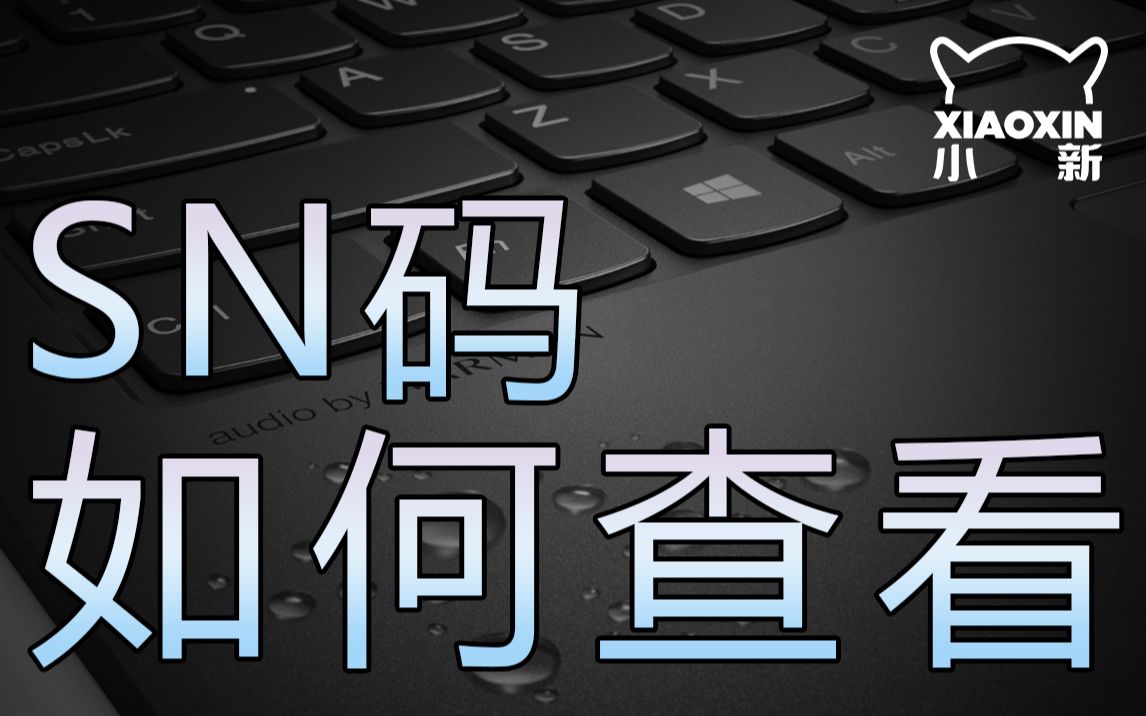 【小新攻略】SN码是什么?