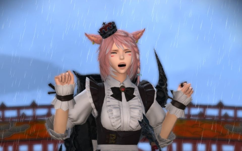 【ff14】扣1加入撸猫大队