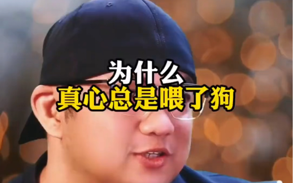 为什么真心总是喂了狗