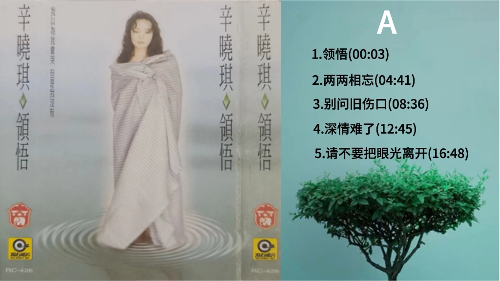 辛晓琪《领悟》磁带专辑内录,无损音质,怀旧味的享受