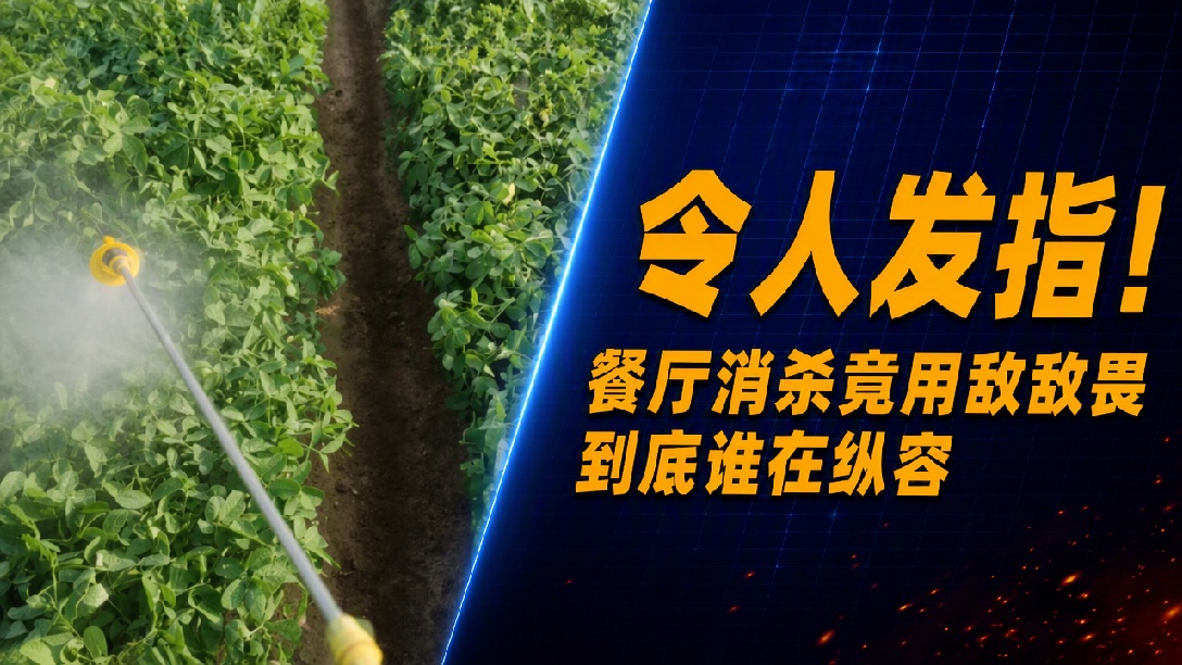餐厅消杀用敌敌畏：监管走过场还是违法成本低？