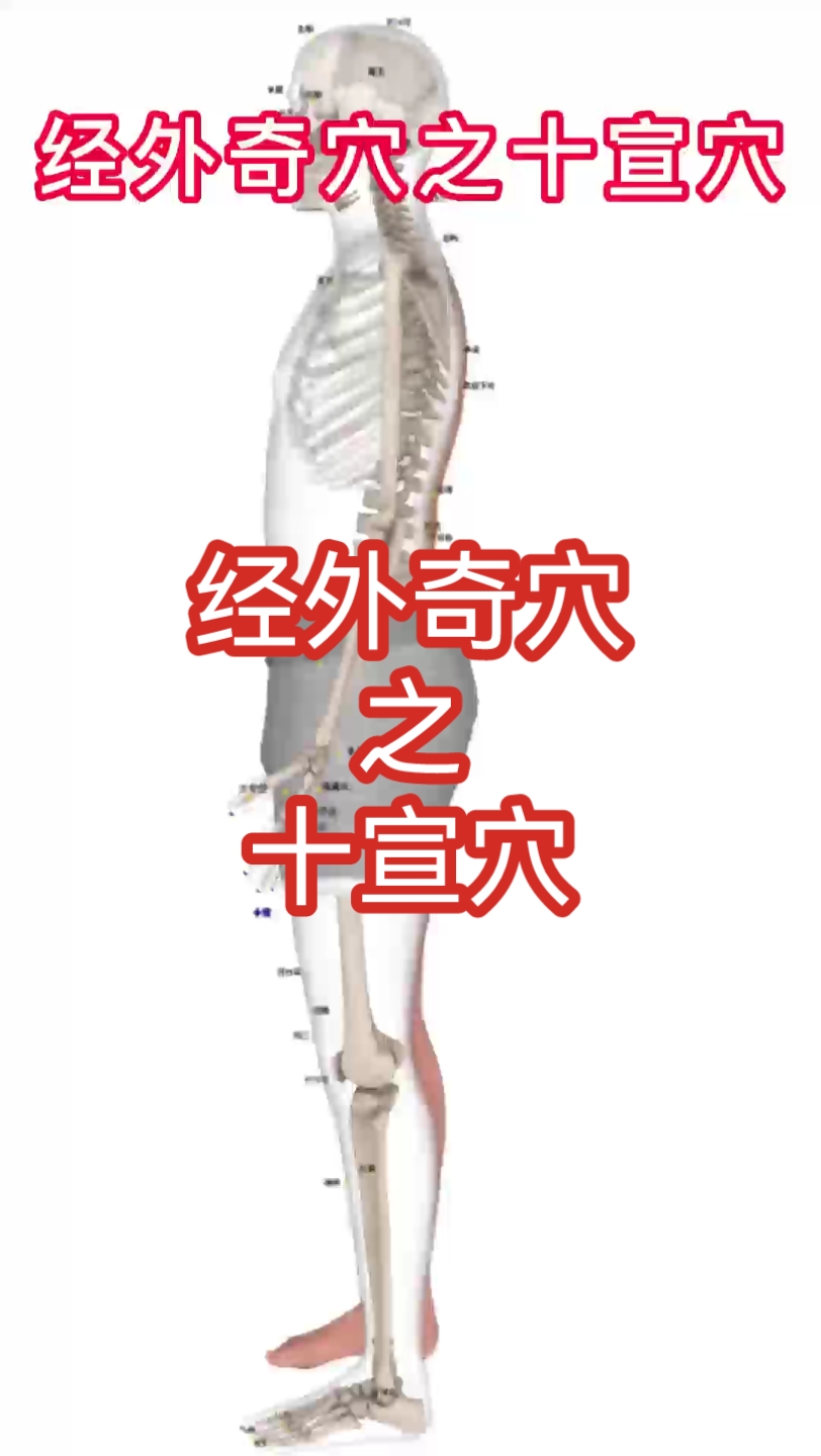 经外奇穴之十宣穴哔哩哔哩bilibili