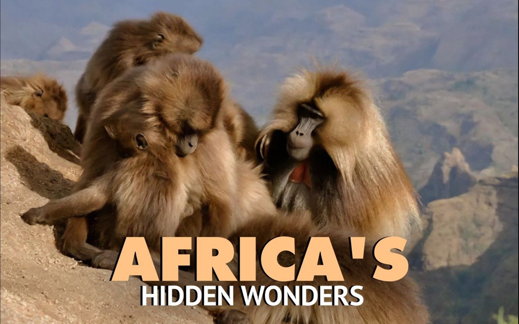 [图]非洲隐藏瑰宝 全3集 Africas Hidden Wonders