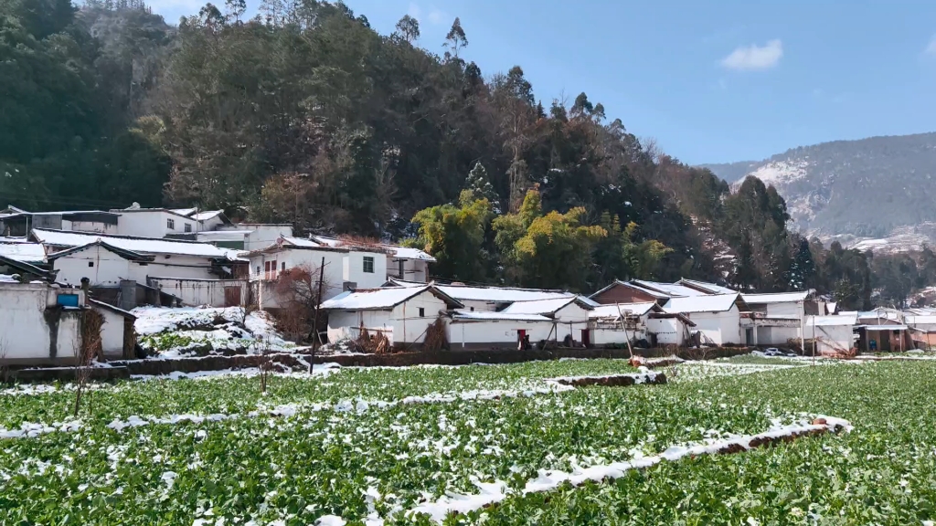 雪后凉山,宛如仙境的纯净之美哔哩哔哩bilibili