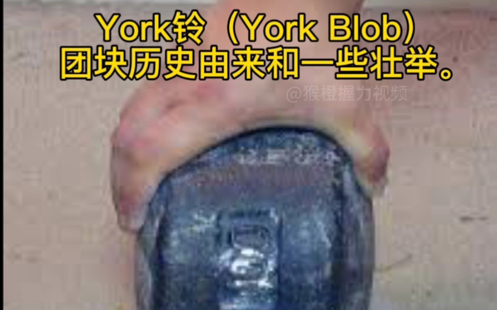 York铃(York BIob)团块历史由来和一些壮举.哔哩哔哩bilibili