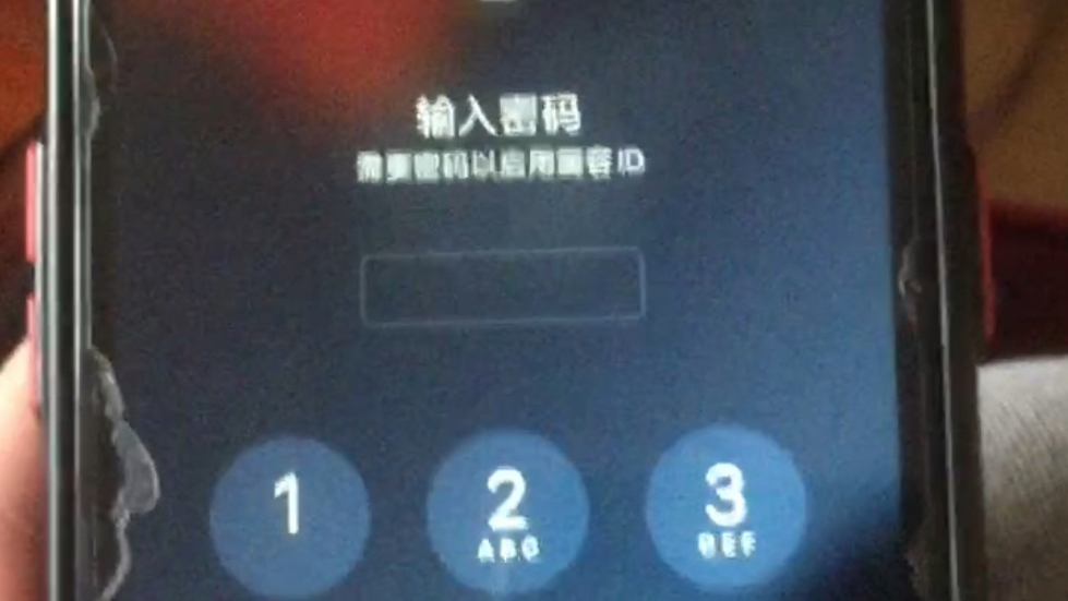 对我来说最折磨的十件事之一——需要密码以启用面容ID
