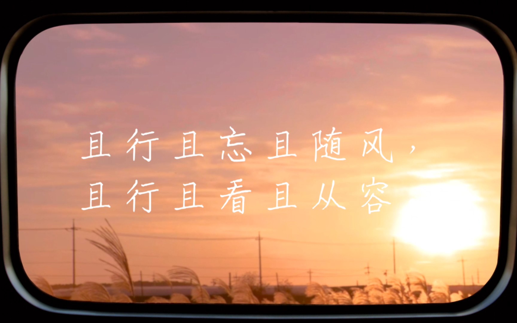 每日摘抄:且行且忘且随风,且行且看且从容.