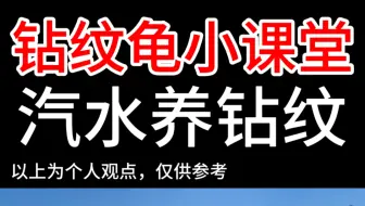 汽水养钻纹龟怎么操作？盐水养钻纹龟的好处？盐水养钻纹？怎么调配汽水？养钻纹的汽水怎么弄？汽水养钻纹需要额外补充淡水吗？#钻纹龟 #养龟日常 #乌龟 #养龟人