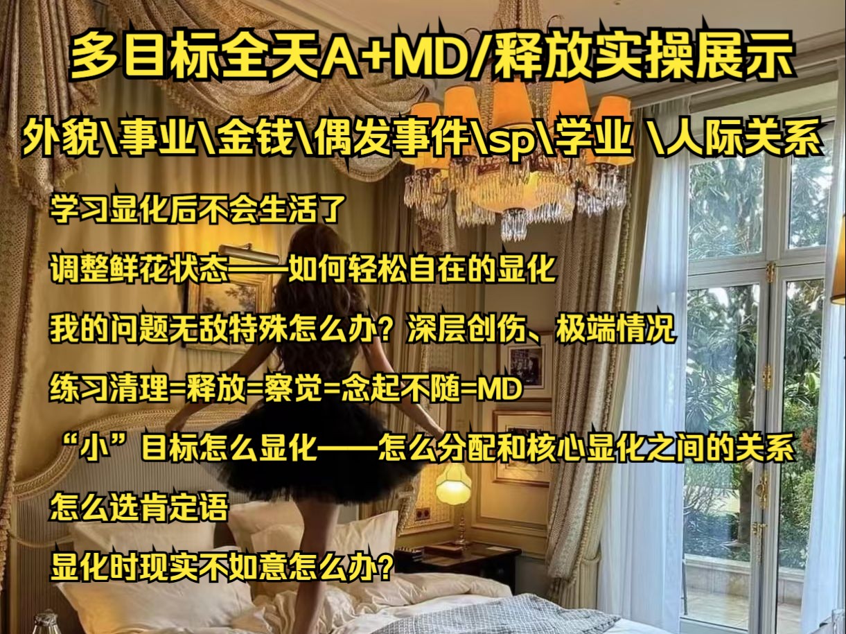 多目标全天A+MD/释放法实操展示|外貌、事业、人际关系、偶发事件......如何保持轻松的状态、有深层创伤极端情况怎么办、怎么练习显化能力哔哩哔哩...