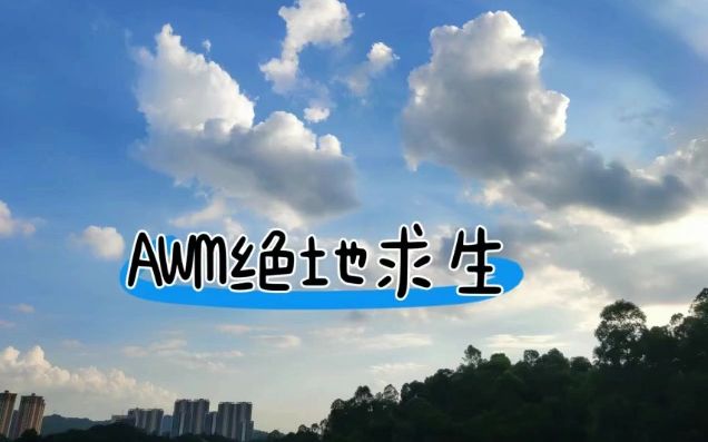 你是我的AWM 上哔哩哔哩bilibili