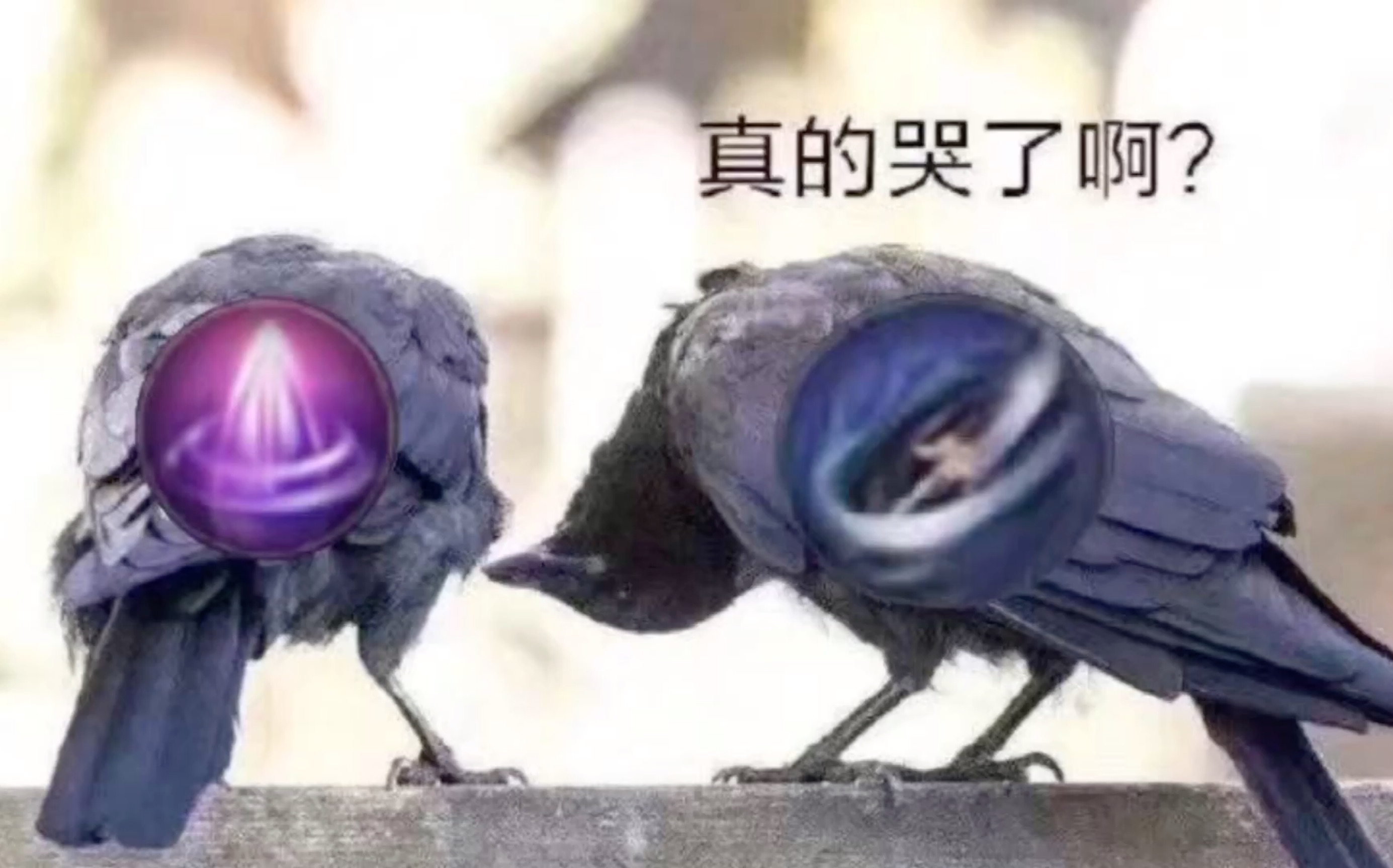 热爱105度的奶毒