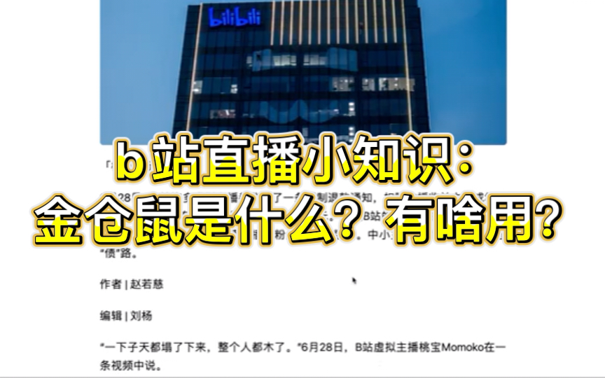 b站直播小知识:金仓鼠是什么?有啥用?哔哩哔哩bilibili