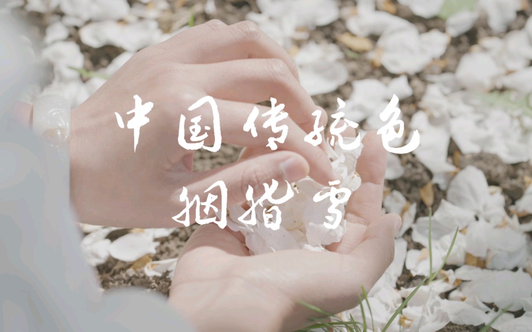 中国传统色|新疆昌吉海棠花|胭脂雪色哔哩哔哩bilibili