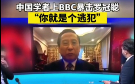 中国学者上BBC暴击罗冠聪:“你就是个逃犯”哔哩哔哩bilibili