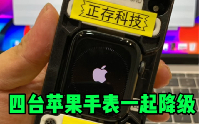苹果手表手表刷机教程Apple Watch