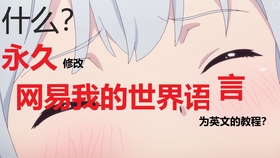 无破解修改网易我的世界启动器登录界面 哔哩哔哩 つロ干杯 Bilibili