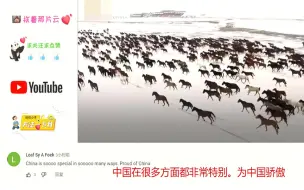 Descargar video: 春天里中国新疆万马奔腾的壮观场景火到外网，外国网友太震撼了