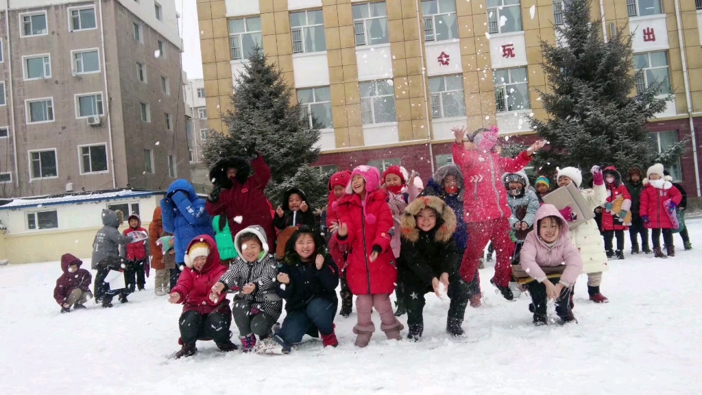 2008年的第一场雪哔哩哔哩bilibili