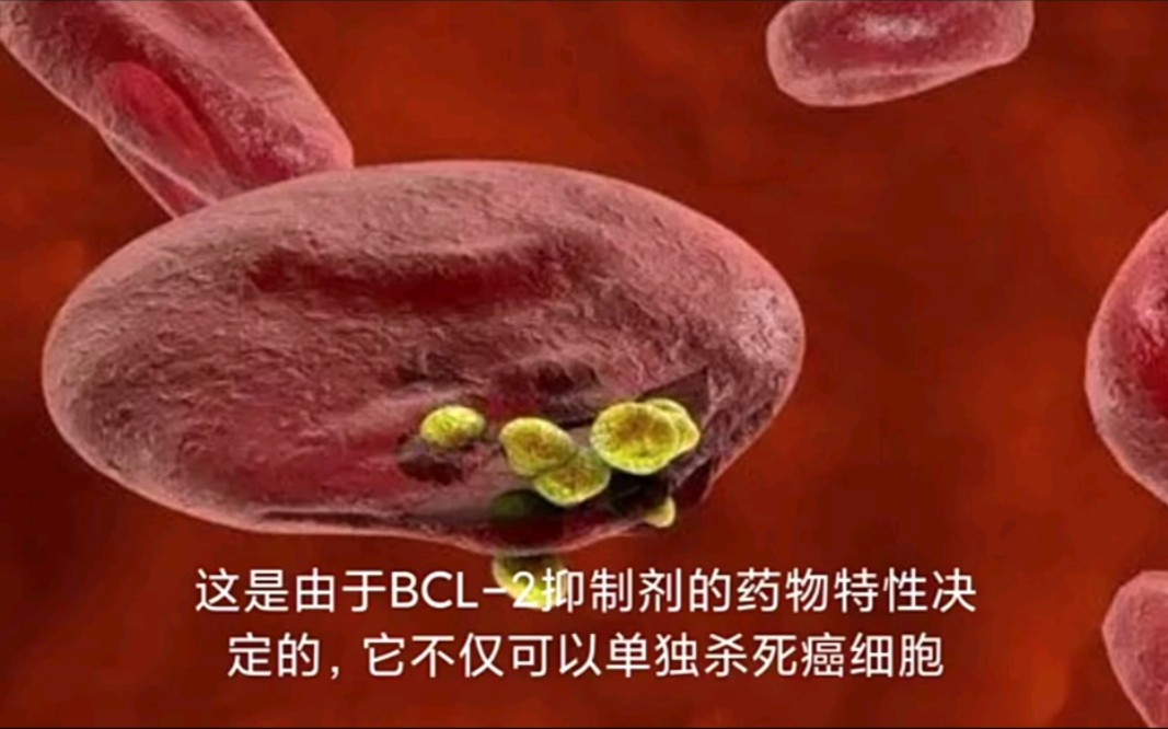 BCL2抑制剂维奈托克venetoclax适应症覆盖多种实体肿瘤哔哩哔哩bilibili