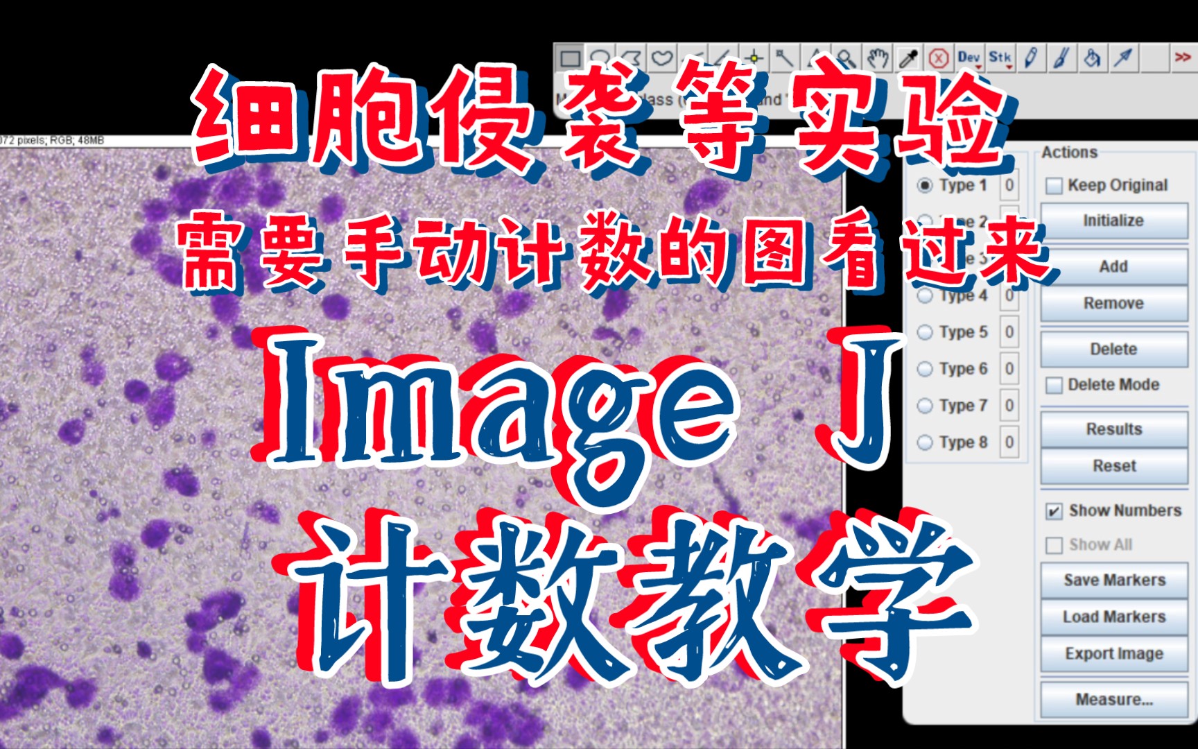 ImageJ-细胞集落克隆形成计数