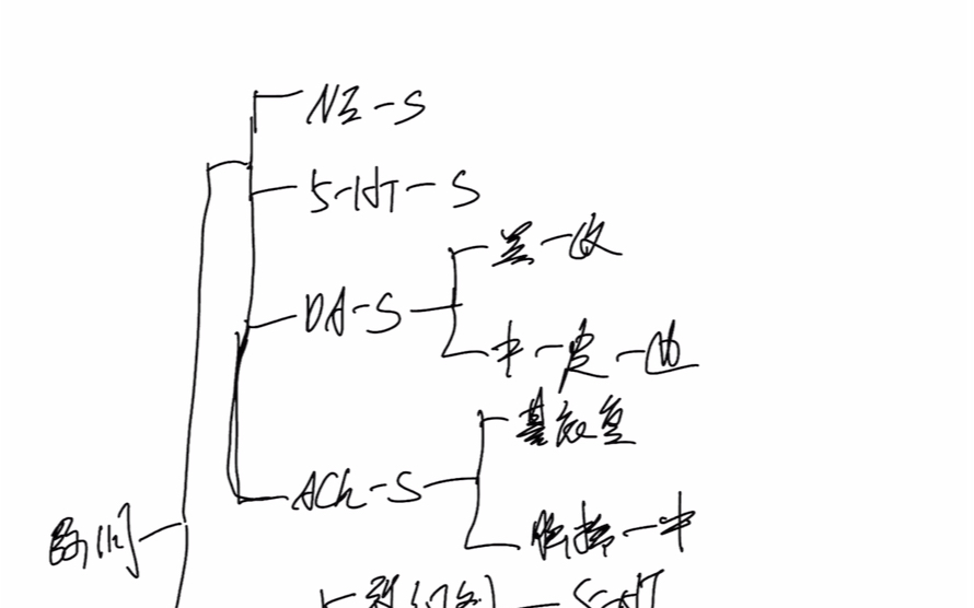 [图]*神经生物学  寿天德第三版*第十六章知识点整理