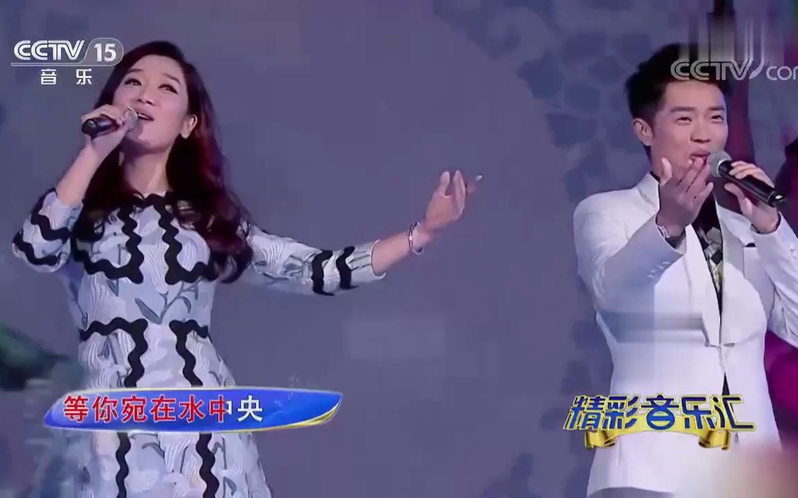 《荷塘月色》经典歌曲现场版mv -凤凰传奇