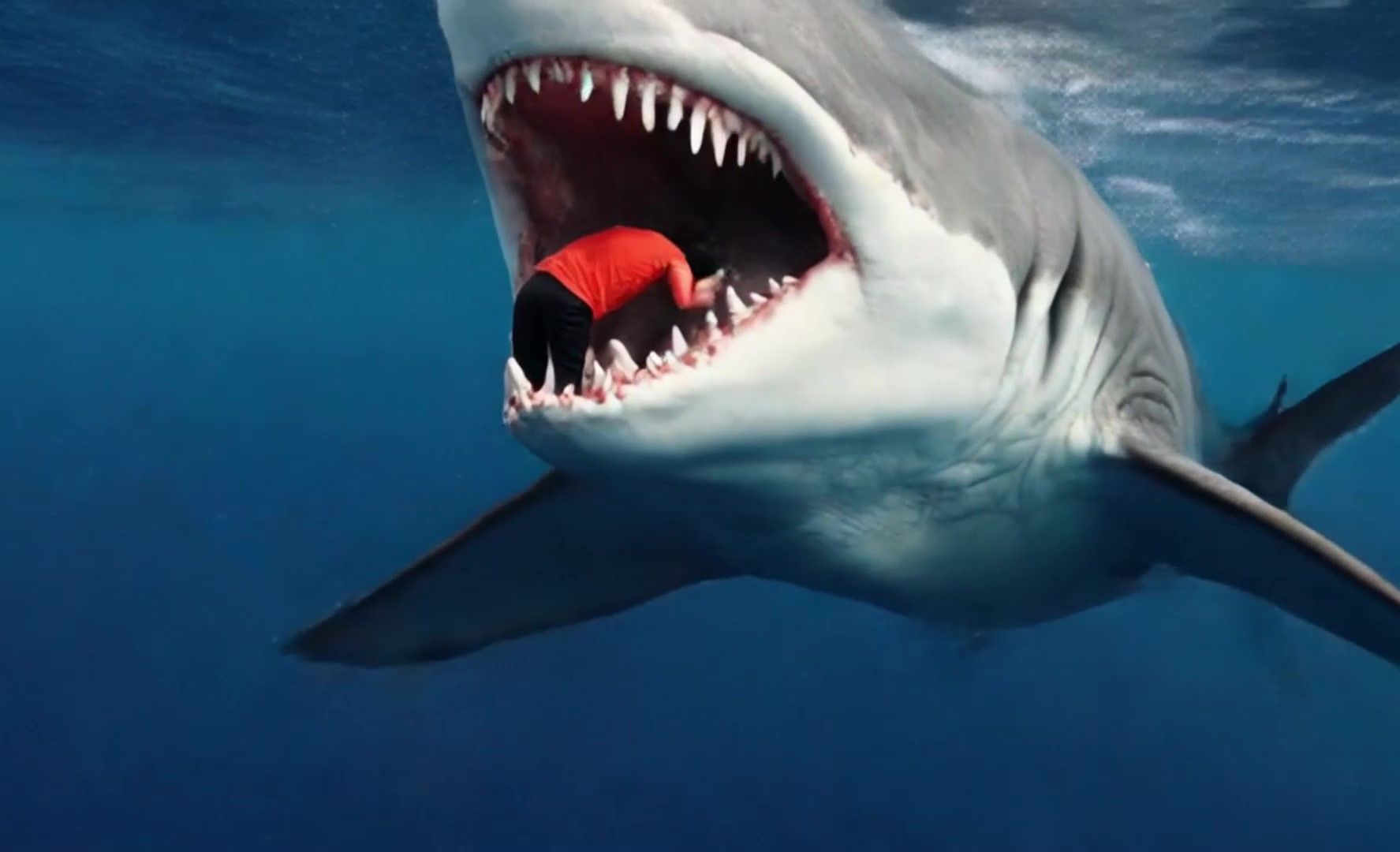 鲨鱼口中的玩物,第一视角凶猛大白鲨!