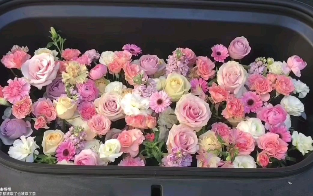 特斯拉前备箱花,第一次知道原来特斯拉是刷卡的.