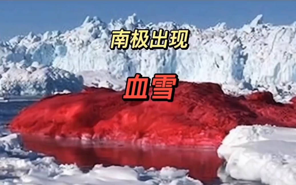 南极出现"血雪",科学家担心的事情悄然发生,地球将会有危险吗