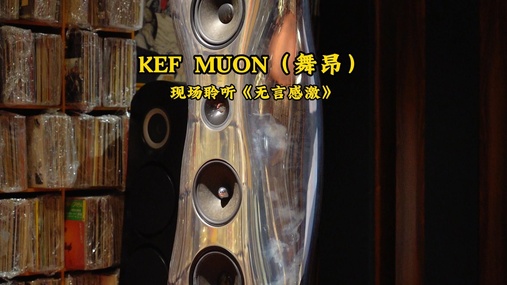 英国 KEF MUON(舞昂) 现场聆听:谭咏麟(无言感激)哔哩哔哩bilibili