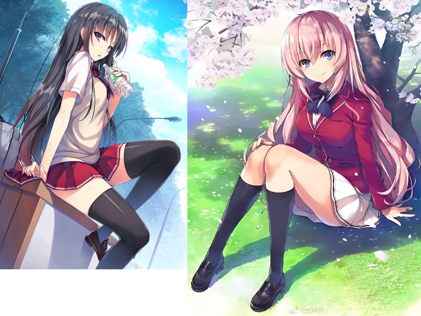 [ai堀北铃音×一之濑帆波]年轮「数着一圈圈年轮 我认真 将心事都封存
