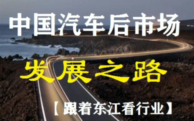 【跟着东江看行业】中国汽车后市场发展之路哔哩哔哩bilibili