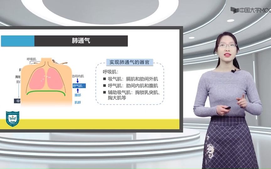 肺通气的动力.人体生理学,身体健康,医学生哔哩哔哩bilibili