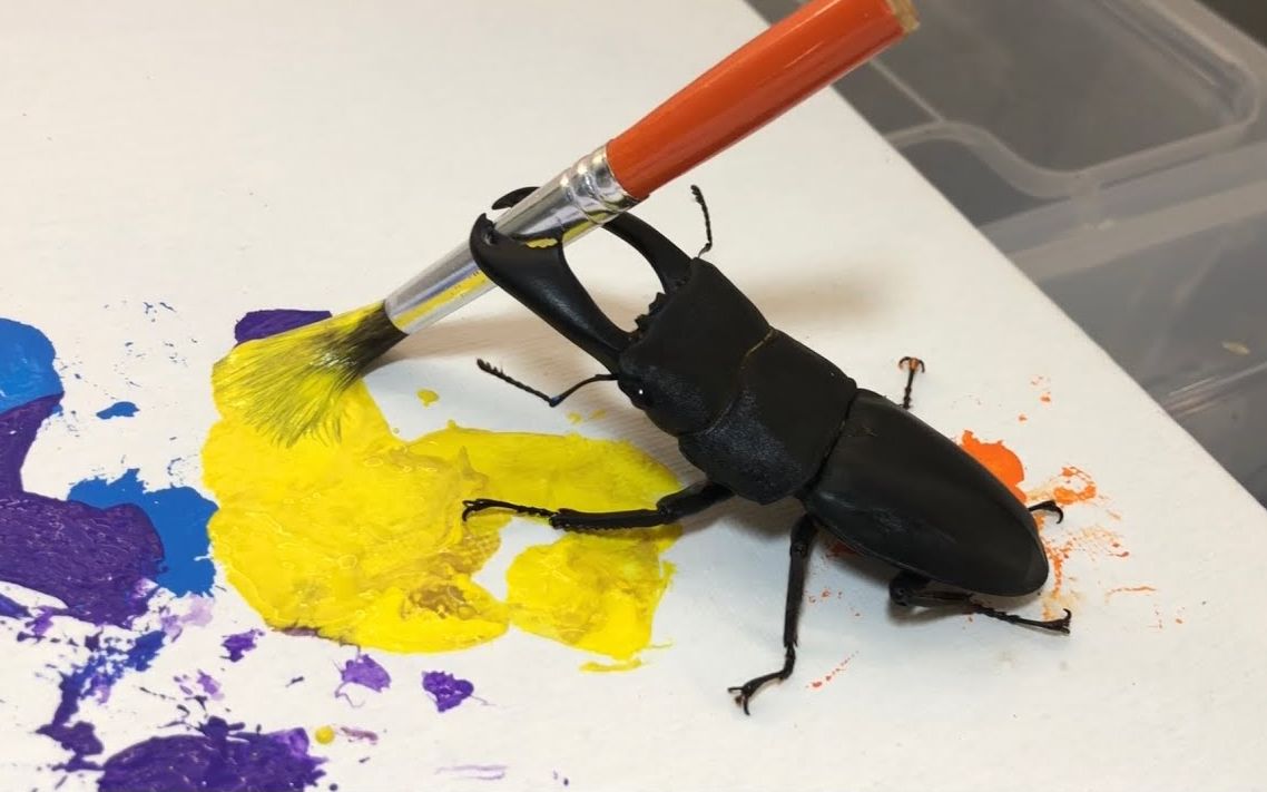 大角虫作画拍出30万高价! || insecthaustv【斑豆搬运】