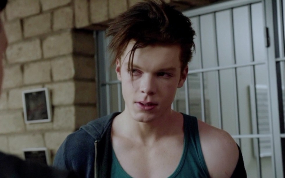 【无耻之徒/gallavich】躁郁症美强惨和南区小霸王的十年恋爱史