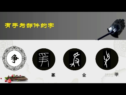 汉字争的演变过程哔哩哔哩bilibili