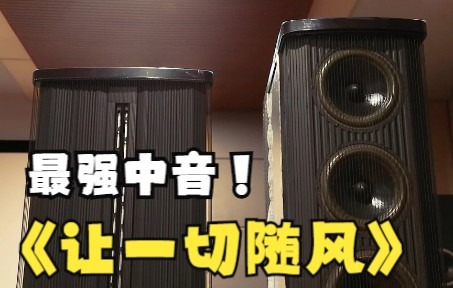 [图]【丹麦】HIFi音箱//贵丰音箱，聆听王闻《让一切随风》麻了麻了！