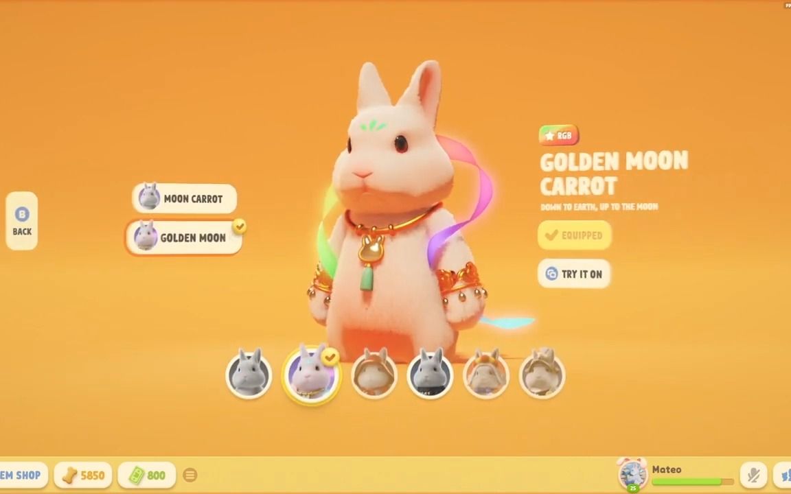 动物派对 | party animals