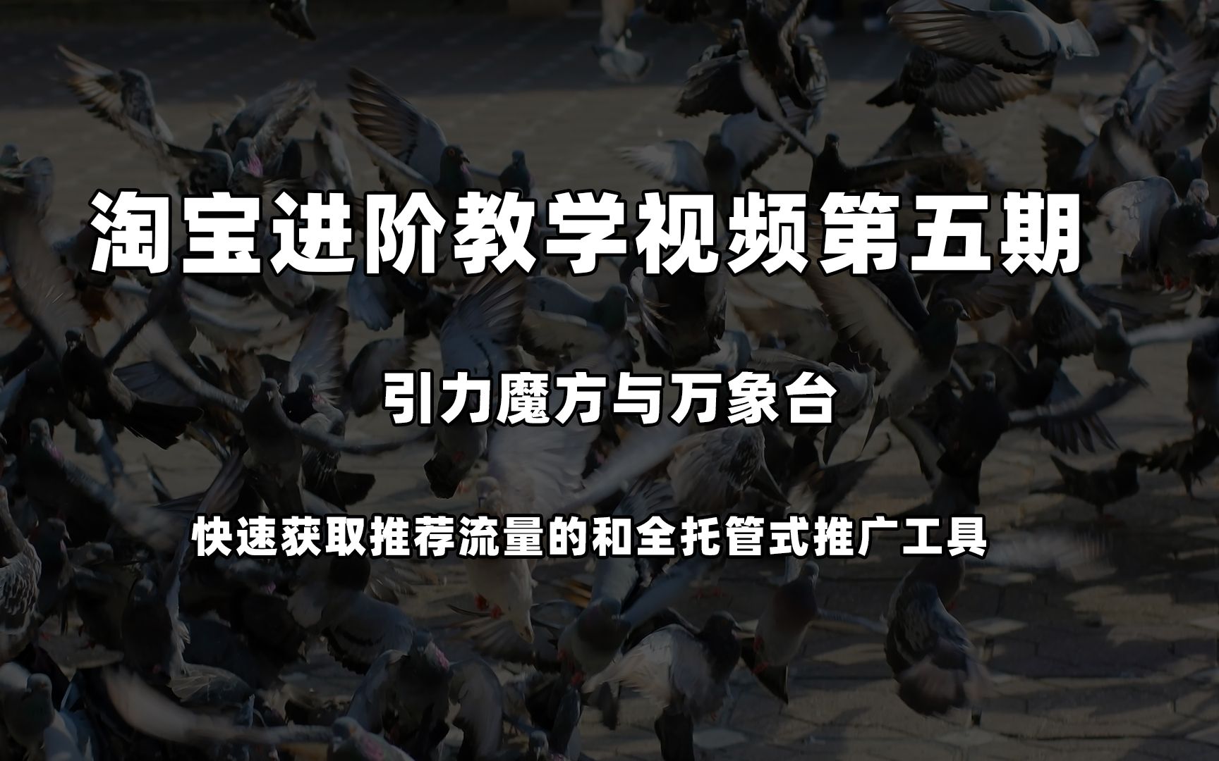 【淘宝进阶教学视频第五期】引力魔方/万象台怎么用?哔哩哔哩bilibili