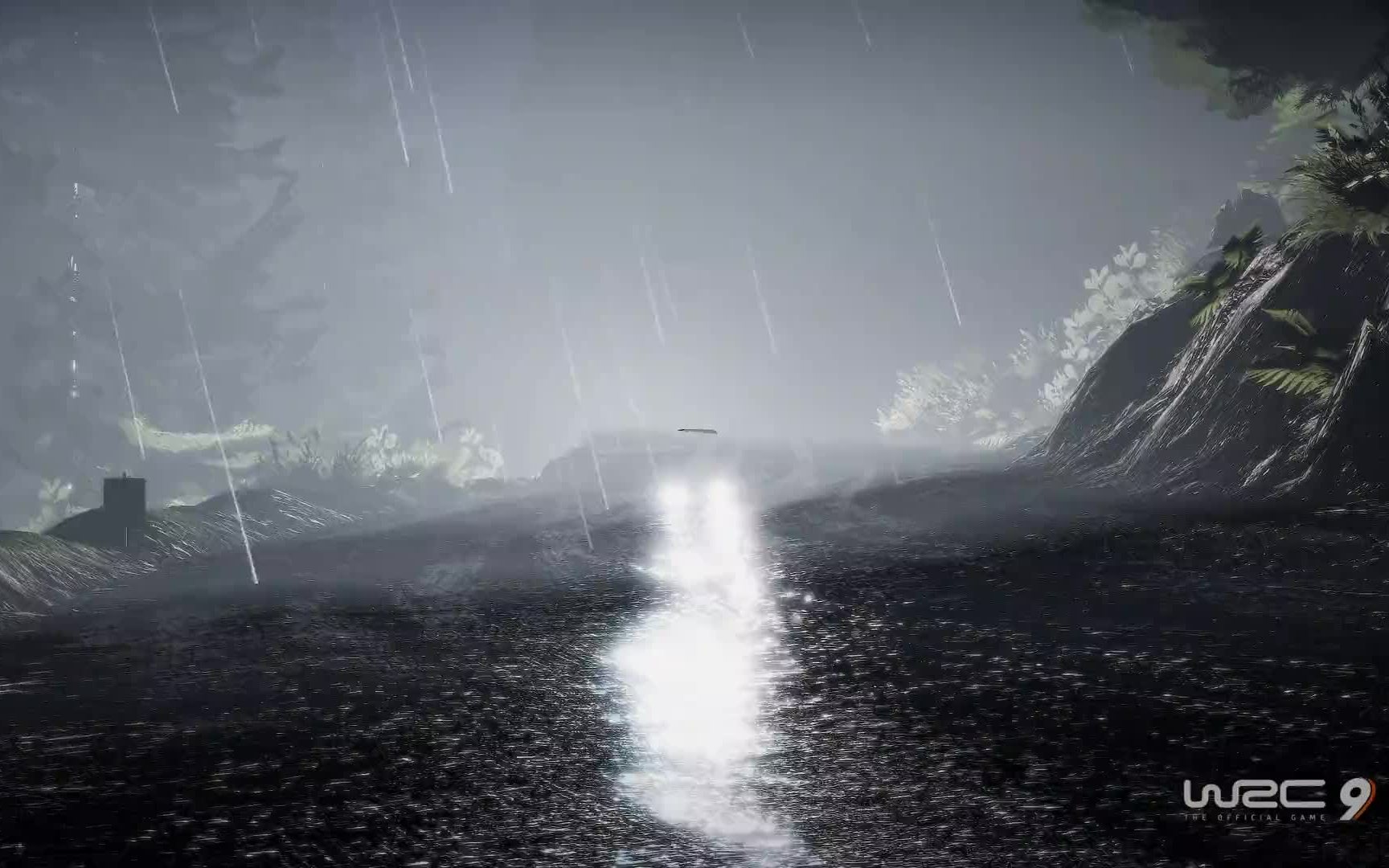 雨夜,山路,雪铁龙