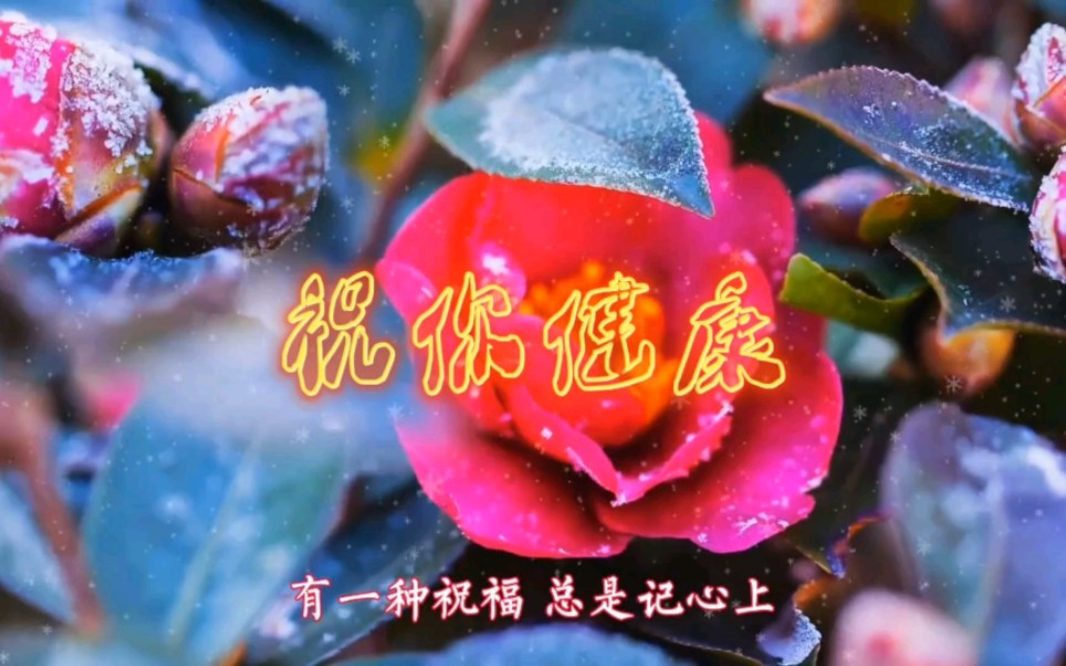 [图]小年吉祥《祝你健康》珍藏我的问候，幸福生活一起分享！