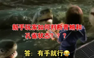 Descargar video: 观背青鳉和孔雀鱼新手玩家如何判断状态？答有手就行